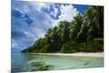 Premium Photographic Print