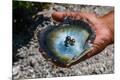 Photographic Print