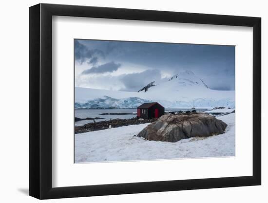 Photographic Print, , large