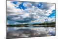 Photographic Print