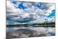 Photographic Print