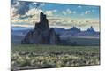 Photographic Print