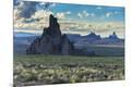 Photographic Print