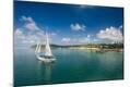 Photographic Print