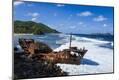 Photographic Print