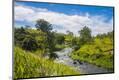 Photographic Print