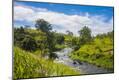Photographic Print