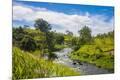 Photographic Print