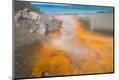 Photographic Print