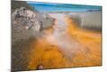 Photographic Print