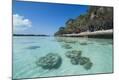 Photographic Print