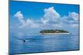 Photographic Print