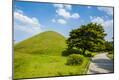 Photographic Print