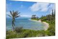 Premium Photographic Print