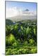 Premium Photographic Print
