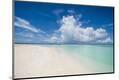 Photographic Print