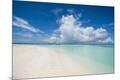 Photographic Print