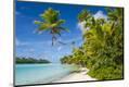 Photographic Print