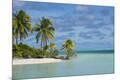 Photographic Print