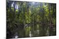 Photographic Print