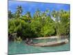Premium Photographic Print