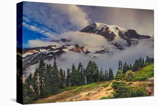 Stretched Canvas Print, , large