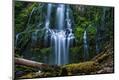 Photographic Print