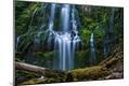 Photographic Print