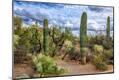 Photographic Print
