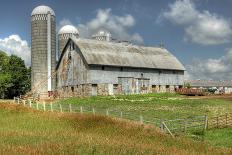 Barn and Silo, Minnesota, USA-Michael Scheufler-Photographic Print