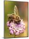 Premium Photographic Print