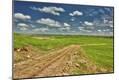 Photographic Print