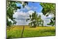 Photographic Print