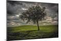Photographic Print
