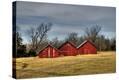 Stretched Canvas Print