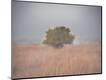 Premium Photographic Print