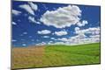 Photographic Print