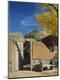 Photographic Print