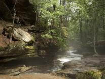 Hocking Hills State Park, Ohio, United States of America, North America-Michael Snell-Photographic Print