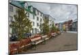 Photographic Print