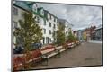 Photographic Print
