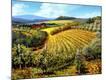 Premium Giclee Print
