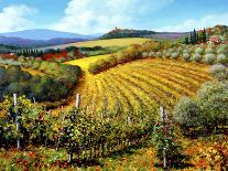 Chianti Vineyards-Michael Swanson-Art Print