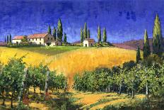 Tuscan Evening-Michael Swanson-Art Print