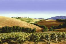 Tuscany Vines-Michael Swanson-Framed Art Print