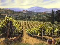 Chianti Vineyards-Michael Swanson-Art Print
