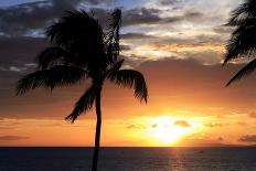 Palm Trees on a Beach At Sunset-Michael Szoenyi-Framed Premier Image Canvas