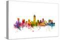 Stretched Canvas Print