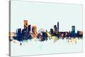 Stretched Canvas Print
