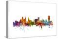 Stretched Canvas Print